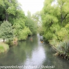New-Zealand-Christchurch-botnical-gardens-14-of-35