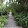 New-Zealand-Christchurch-botnical-gardens-20-of-35