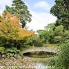 New-Zealand-Christchurch-botnical-gardens-26-of-35