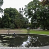 New-Zealand-Christchurch-botnical-gardens-7-of-35