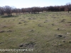 North Dakota prarie dogs (3 of 4)