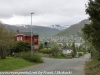 Tromso birds day cemetery  (10 of 11)