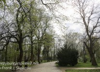 Poland Day Nine Czestochowa walk in park -1