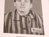 Auschwitz exhibits photos -24