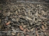 Auschwitz exhibits belongings -21