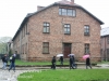 Auschwitz exhibits gas chambers -23