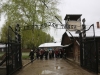 Poland Day Eleven Auschwitz Wednesday April 19 032