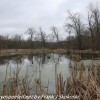 PPL-Wetlands-13-of-44