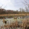 PPL-Wetlands-11-of-46