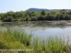 PPL Wetlands (17 of 22).jpg