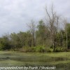 PPL-Wetlands-6-of-53