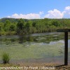 PPL-Wetlands-hike-9-of-50