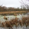 PPL-Wetlands-14-of-50