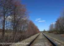 railroad tracks (14 of 21).jpg