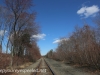 railroad tracks (17 of 21).jpg