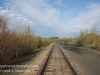 Railroad walk -25