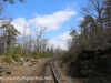 Railroad hike (16 of 26).jpg