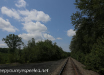 Railroad tracks (15 of 31).jpg