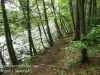 roaring creek hike -7