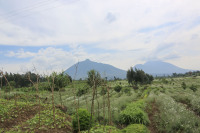 Rwanda Volcano National Park October 13 2016
