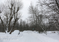 blizzard walk Marh 14 afternoon -1