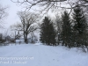 blizzard walk Marh 15 morning -3