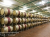South Africa Neethlingsof winery -16