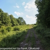 Pinchot-State-Forest-hike-17-of-44