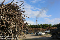 Sugar cane  processing plant, orange walk Belize February 