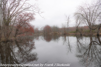 Susquehanna Wetlands April 10 2021
