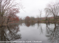Susquehanna-Wetlands-1-of-49