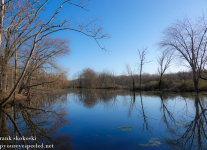Susquehanna-Wetlands-1-of-41