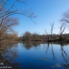 Susquehanna-Wetlands-1-of-41