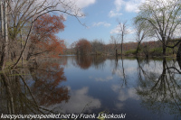 Susquehanna Wetlands April 18 2021