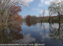 Susquehanna-Wetlands-birds-1-of-40