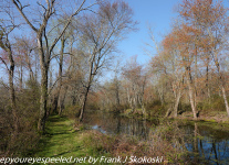 Susquehanna-wetlands-1-of-32