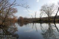 Susquehanna Wetlands April 24 2022 