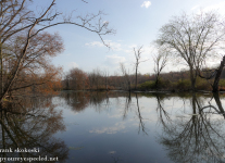 Susquehanna-Wetlands-1-of-39