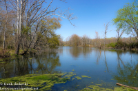 Susquehanna Wetlands April 29 2022 