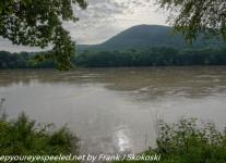 Susquehanna-Wetlands-1-of-50