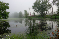 Susquehanna Wetlands August 27 2022 