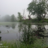 Susquehanna-Wetlands-1-of-48