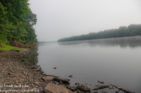 Susquehanna Wetlands August 6 2022 