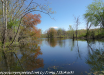 Susquehanna-wetlands-1-of-30