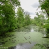 Susquehanna-Wetlands-birds-12-of-31