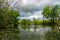 Susquehanna Wetlands May 13 2022 