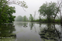 Susquehanna Wetlands May 21 2022 