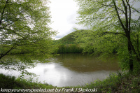 Susquehanna Wetlands May 8 2021 