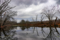 Susquehanna Wetlands November 12 2022 
