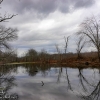Susquehanna-Wetlands-1-of-29